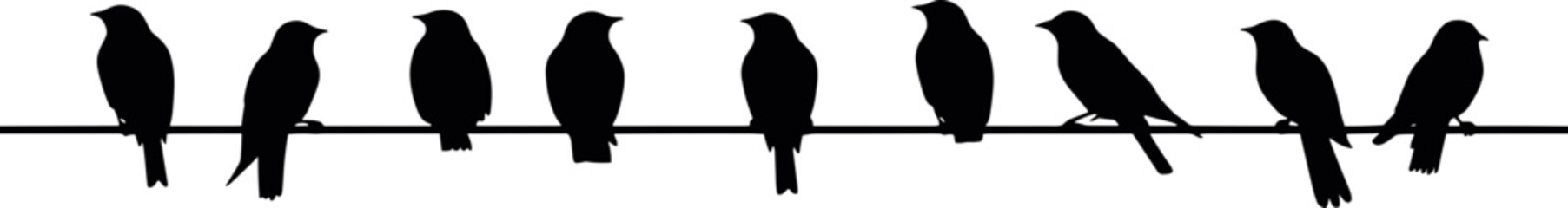 Silhouette of birds on the wires for decoration. AI generated illustration. - obrazy, fototapety, plakaty