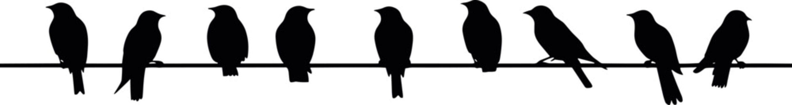 Silhouette of birds on the wires for decoration. AI generated illustration.