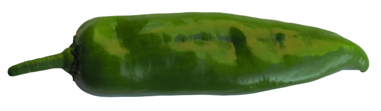 green bell pepper transparent PNG