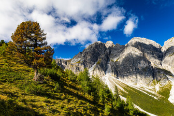 Obraz premium Mountain landscape of the Stubai Alps