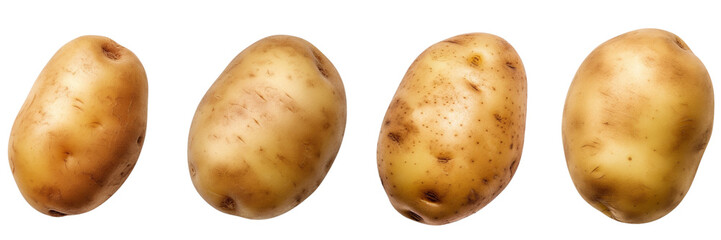 Set of potato isolated on white or transparent background