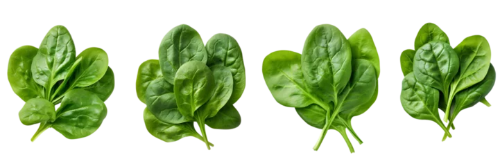 Fototapete Set of spinach top view isolated on white or transparent background © Amit Debnath