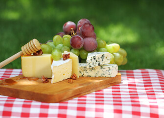 Various sorts of cheese with grapes