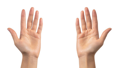Two hands up isolated on white transparent background