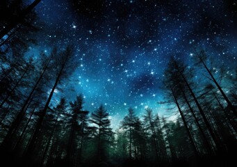  stars in the night sky showing through pine trees
