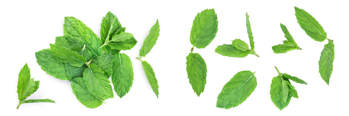 fresh green mint leaves isolated on white background, top view. Flat lay