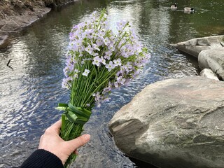 Blumenstrauß mit Wiesenblumen in der Hand einer Frau am Fluss als Zeichen der Trauer