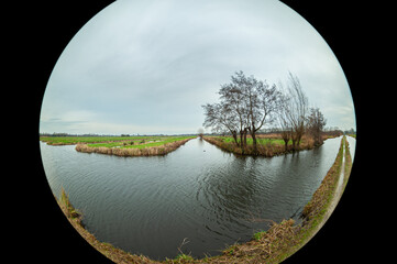 Fisheye image of trees along the water of a ditch in the Dutch landscape of Polder Bloemendaal near...