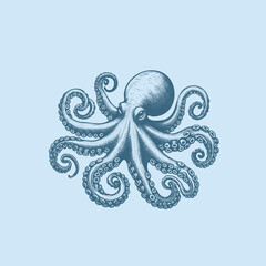 Hand-drawn Illustration of an Octopus in Cross hatching style