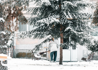 Fototapety na wymiar - Fototapeta24.pl