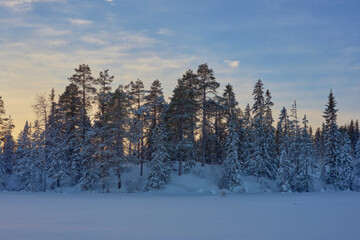 Images from rural Toten and the Totenaasen Hills during Christmas holidays.