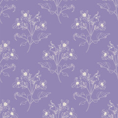 Fototapeta na wymiar Blooming branch Clematis vector seamless pattern, linear flowers beige on violet. Hand drawn elements. Delicate floral background for design packaging , textile, wallpaper, fabric, paper
