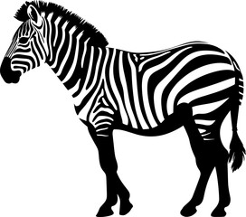 Fototapeta na wymiar Animal illustration of vector zebra silhouette. AI generated illustration.
