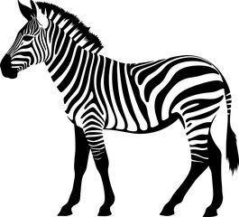 Fototapeta na wymiar Animal illustration of vector zebra silhouette. AI generated illustration.