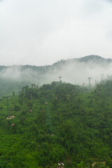 Green rainforest jungle landscape in Vietnam