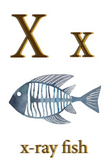 printable animal alphabet card vector graphic resources, letter X / x for x-ray fish	
