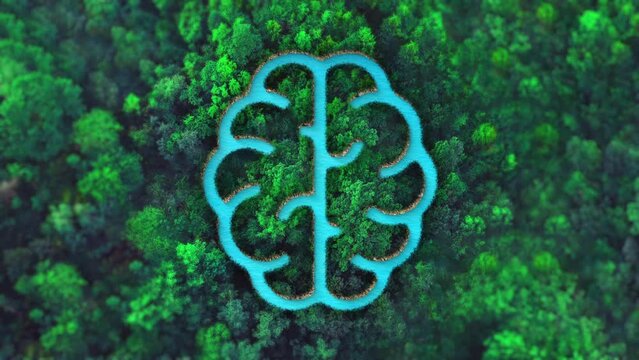 Human Brain icon or symbol in the middle of a beautiful green forest. Top view, ecology background