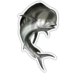 Mahi mahi or dolphin fish on white Black and white sketch. Illustration realism isolate Jumps out of the water. - 699290212