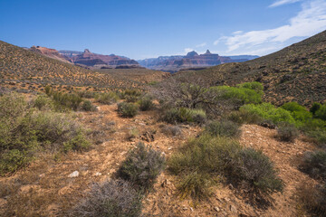 Fototapeta na wymiar hiking the tonto trail in the grand canyon national park, arizona, usa