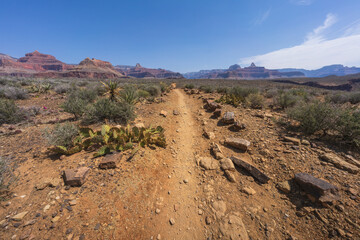 hiking the tonto trail in the grand canyon national park, arizona, usa