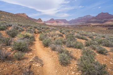 hiking the tonto trail in the grand canyon national park, arizona, usa