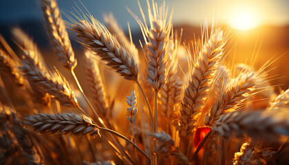 Agriculture golden harvest, nature beauty in a rural wheat farm generated by AI