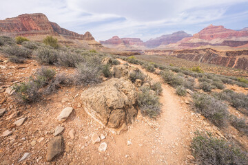 hiking the tonto trail in the grand canyon national park, arizona, usa