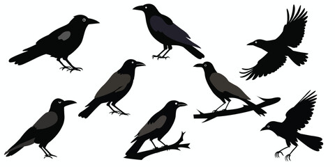 Crow silhouettes set. Vector illustration