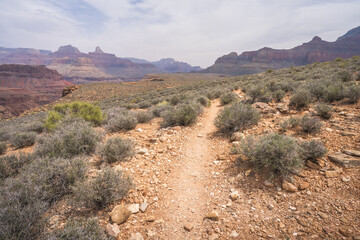 hiking the tonto trail in the grand canyon national park, arizona, usa