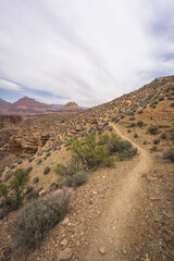 hiking the tonto trail in the grand canyon national park, arizona, usa
