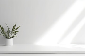 Minimalistic light background with plant and shadow on a wall. 