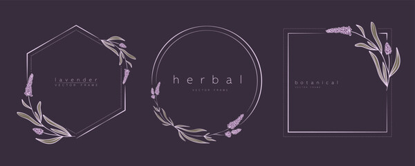 Set of lavender frame templates in minimal linear style with hand drawn branches and leaves. Botanical vector illustration for labels, corporate identity, wedding invitation, logo, save the date © taniKoArt