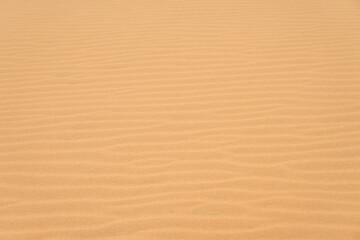 The texture of sand in the desert as a natural background.