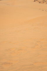 The texture of sand in the desert as a natural background.