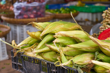 Corn cobs on the market in Vietnam.