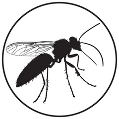 Mosquitoes silhouettes and icons. Black flat color simple elegant white background Mosquitoes animal vector and illustration.	