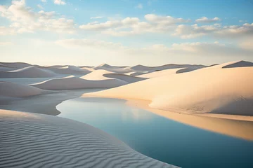 Foto op Plexiglas lake with clear water between dunes in the desert after rain © Evgeny