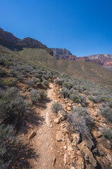 hiking the tonto trail in the grand canyon national park, arizona, usa