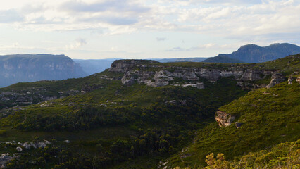 Fototapeta na wymiar A view of a lush green hillside in the Blue Mountains of Australia