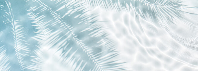 Tropical leaf shadow on water surface. Shadow of palm leaves on white sand beach. Beautiful...