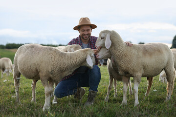 Obraz premium Smiling man feeding sheep on pasture at farm