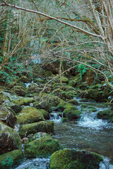 arroyo