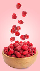 Fresh ripe raspberries falling into bowl on pink background