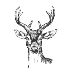 Deer Illustration Clip Art Design Shape. Buck Silhouette Icon Vector.