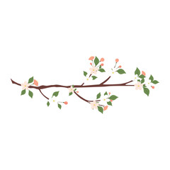 Web Spring Branch with flowers on a white background. Elements isolated on a white background.