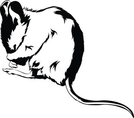 Cartoon Black and White Isolated Illustration Vector Of A Field Mouse Sleeping