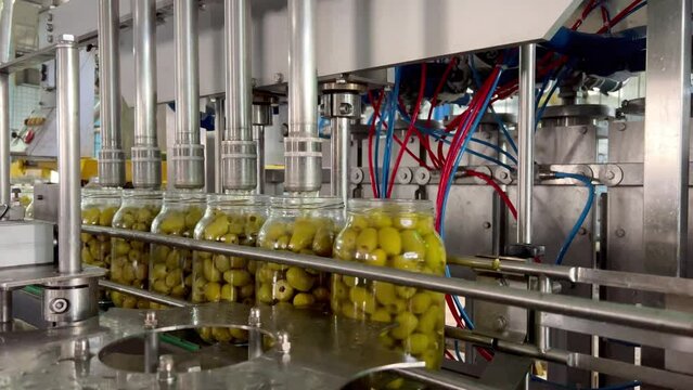 Steel conveyor for transporting glass jars. Belt and roller conveyors. A production line fills glass jars with pickled green olives on the factory floor. Automatic marinade pouring. Food industry.