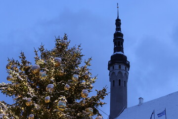 Tallinn tower city