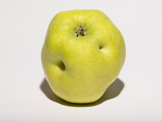 Ugly mutant apple. The fruit is yellow on a white background.