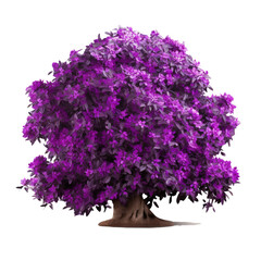 Purple Flower Shrubbery Isolated In white Background
